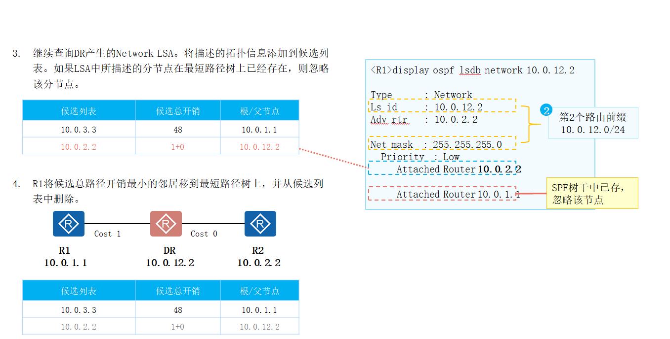 OSPF路由计算及12类LSA详解_LSA_21