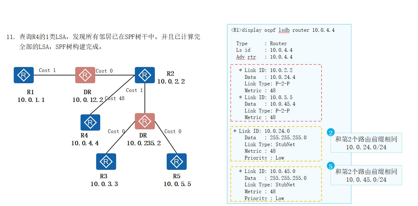 OSPF路由计算及12类LSA详解_邻接关系_26