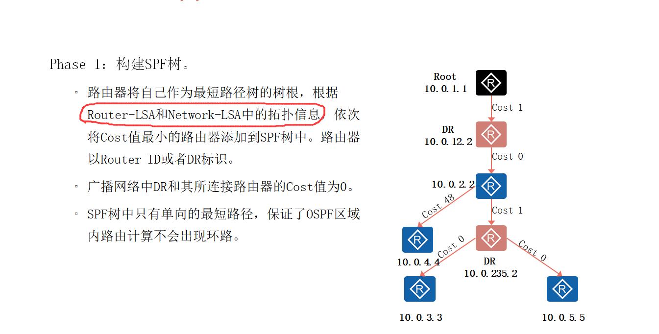 OSPF路由计算及12类LSA详解_邻接关系_17