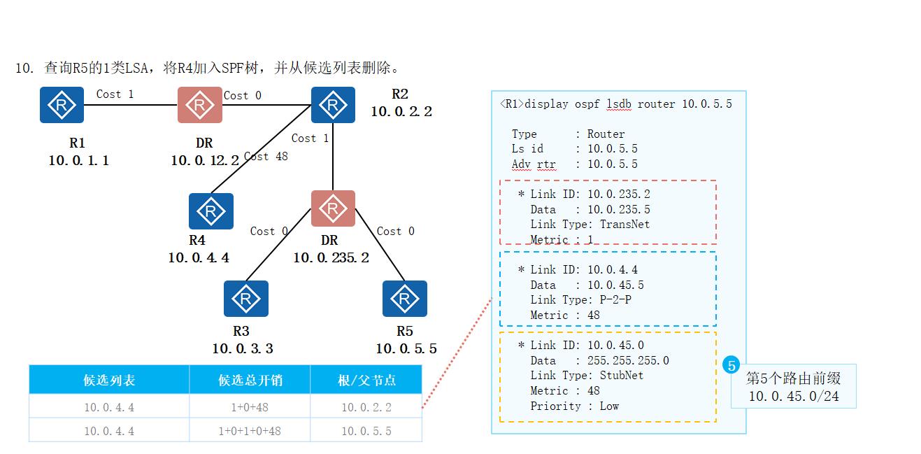 OSPF路由计算及12类LSA详解_LSA_25