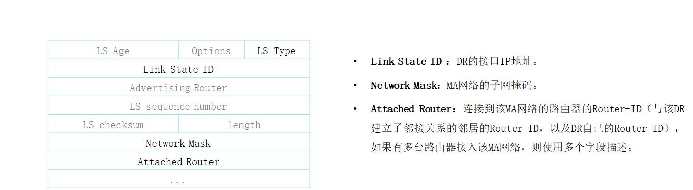 OSPF路由计算及12类LSA详解_邻接关系_13