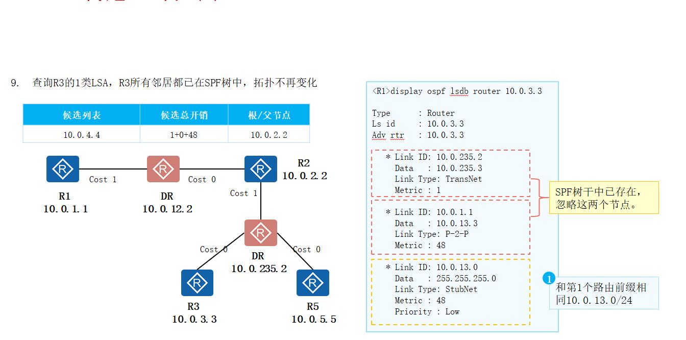 OSPF路由计算及12类LSA详解_邻接关系_24