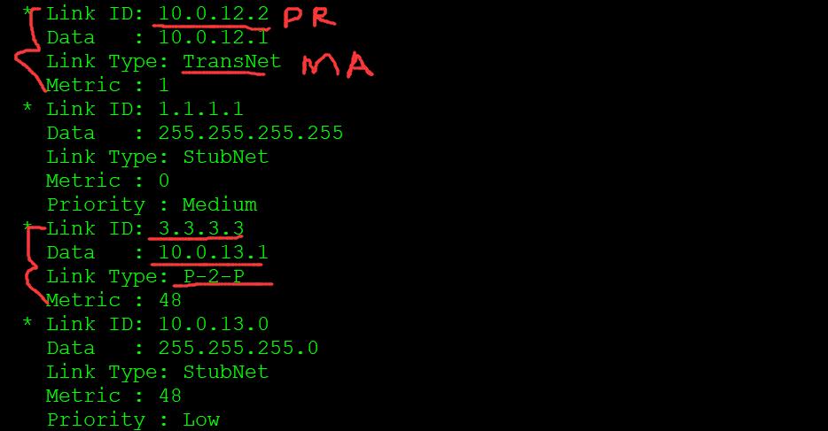 OSPF路由计算及12类LSA详解_链路_10