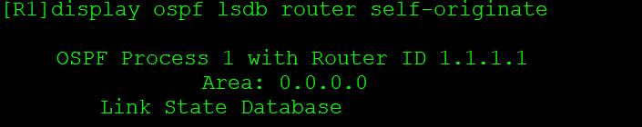 OSPF路由计算及12类LSA详解_LSA_07