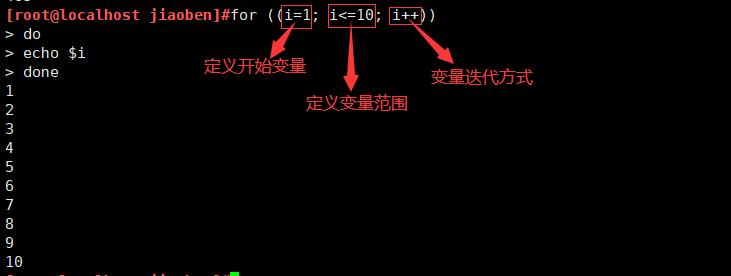 Shell脚本--循环（for、while、until）_for循环_02