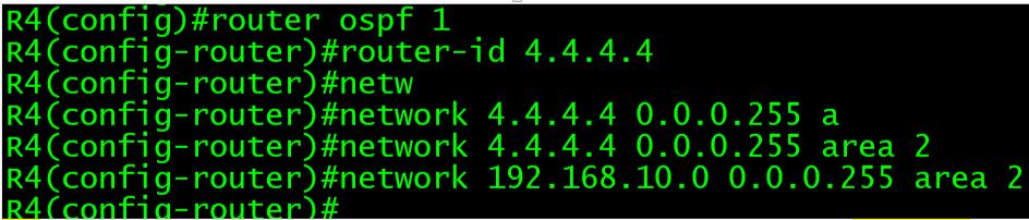 OSPF路由协议_链路