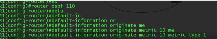 OSPF路由协议_路由协议_10