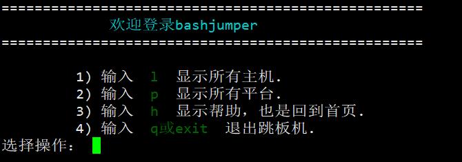 bashjumper跳板机#私藏项目实操分享#_jumper