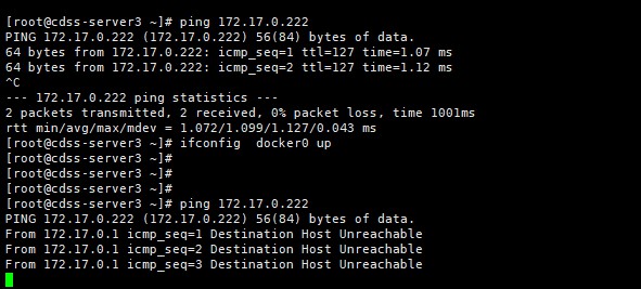 docker之修改docker0网桥默认网段_服务器