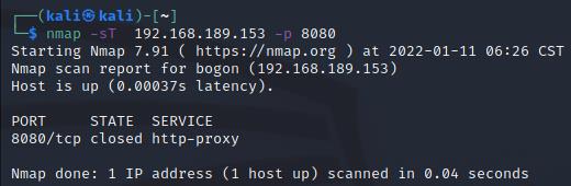 #yyds干货盘点#web安全day44：进阶！使用Nmap+Wireshark理解端口扫描_nmap_07