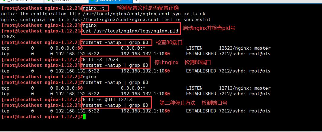 Nginx网站服务配置_源码编译Nginx_08