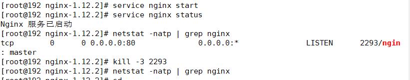 Nginx