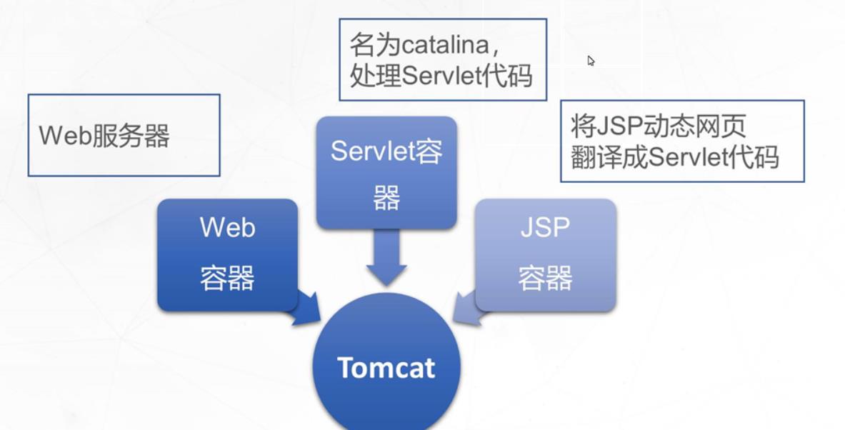 Tomcat