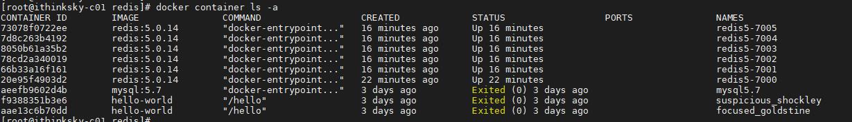 Docker基础：安装Redis