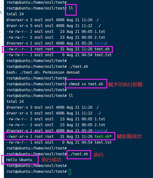 【Linux学习】8.