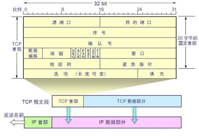 描述TCP和UDP区别_拥塞控制