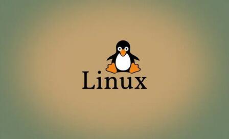 Linux中是谁占用了我的端口_应用程序