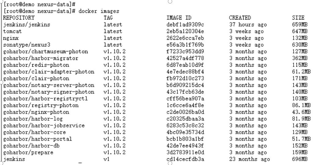 #yyds干货盘点#docker下安装nexus部署文档_端口号_02