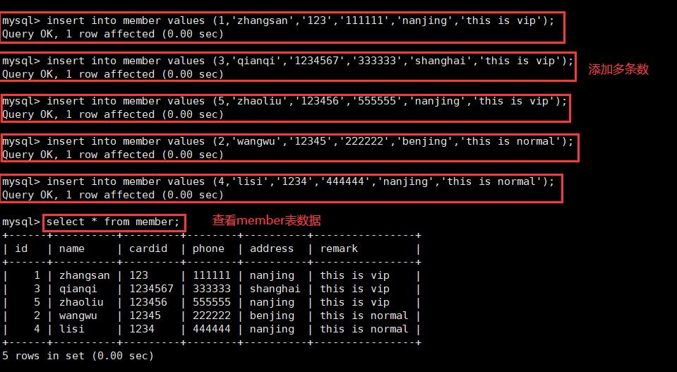 MySQL