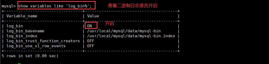 MySQL日志管理_mysql_05