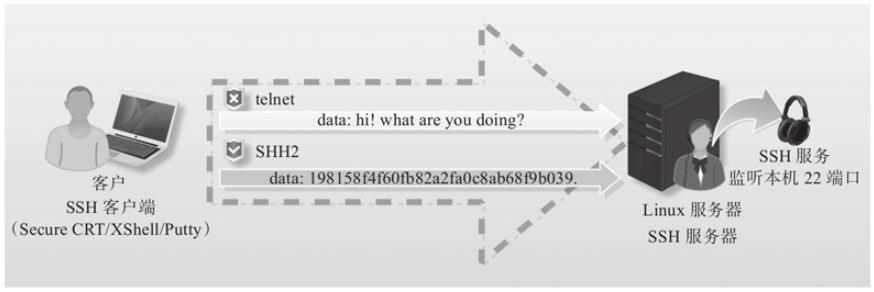 #yyds干货盘点#SSH远程连接介绍_客户端
