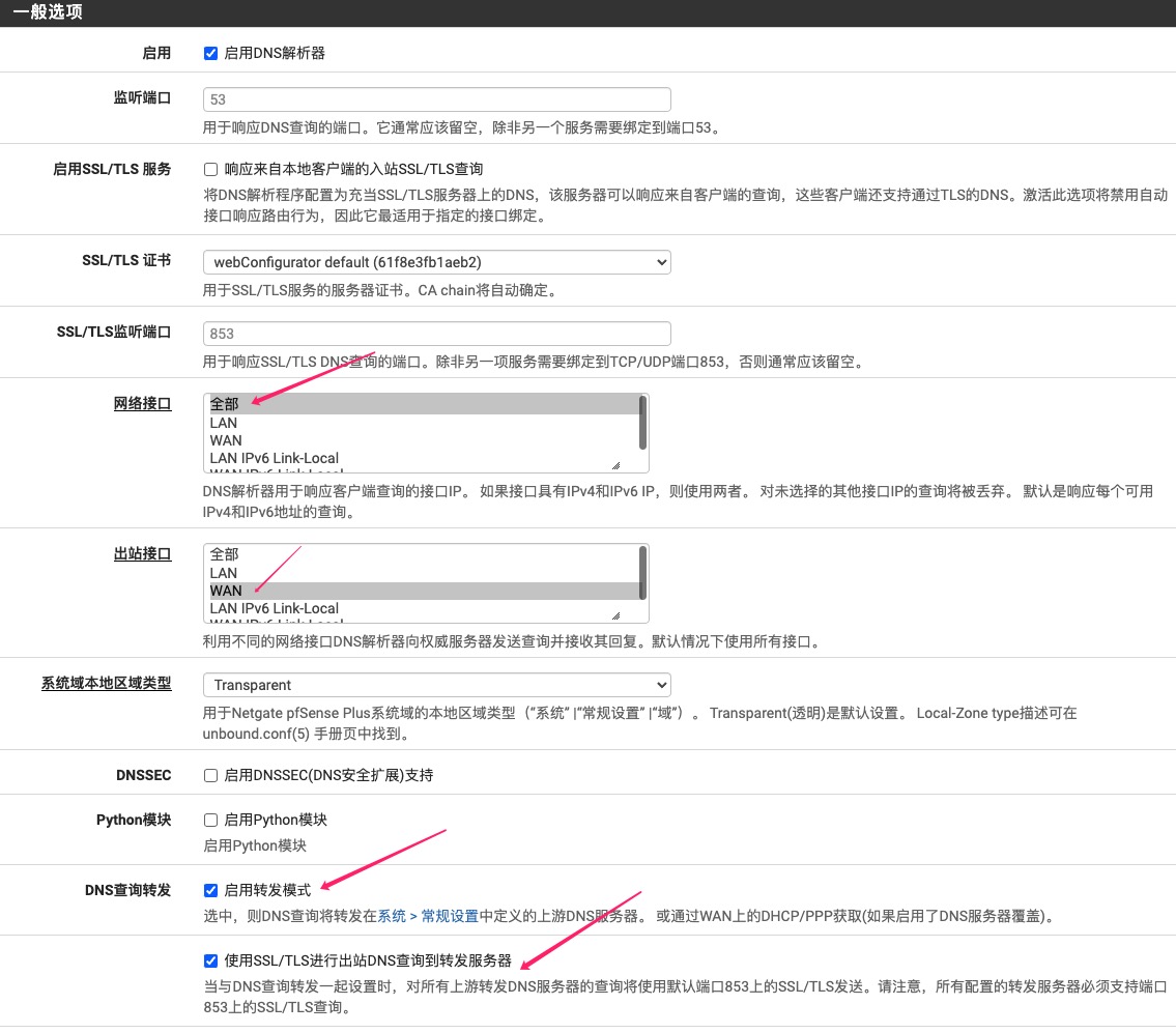 pfSense配置基于TLS协议的DNS（DoT）_pfsense