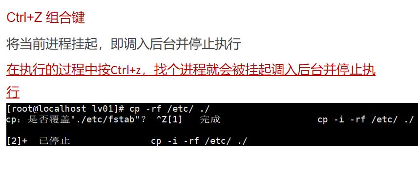 在linux中如果查看进程，不懂得点进来吧！另外附加了如何静态启动进程！_进程号_06