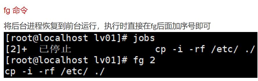 在linux中如果查看进程，不懂得点进来吧！另外附加了如何静态启动进程！_进程号_08