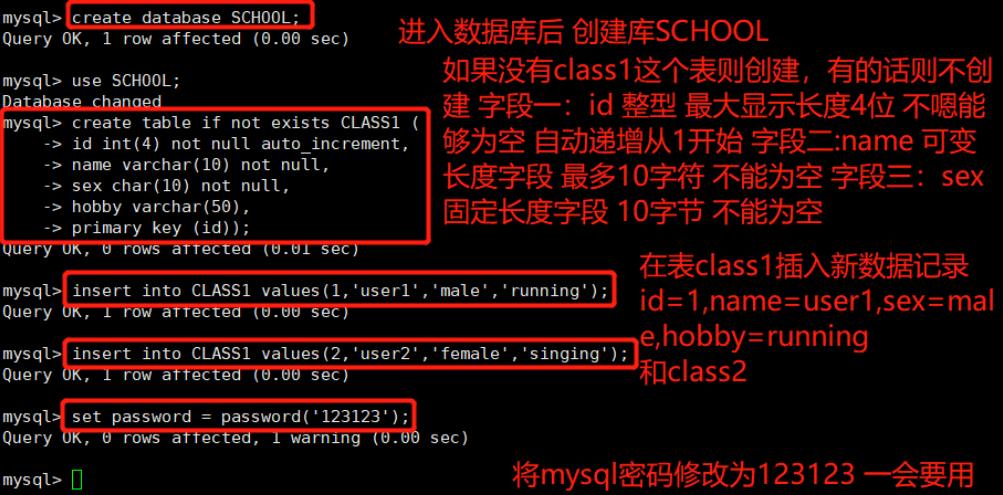 Mysql数据库的备份恢复