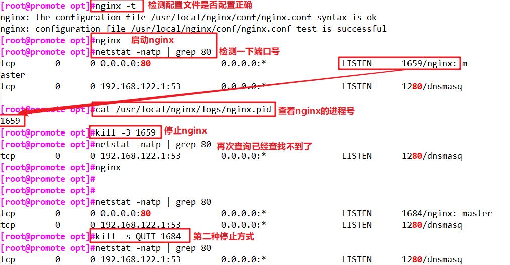 Nginx网站服务配置_nginx_07