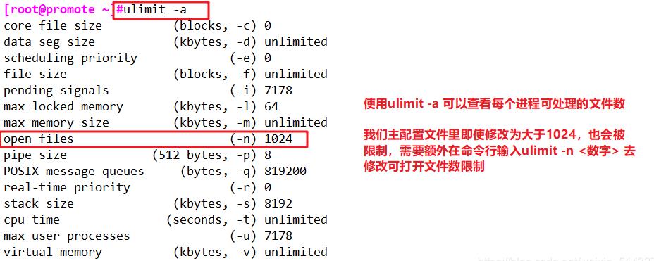 Nginx网站服务配置_nginx_13