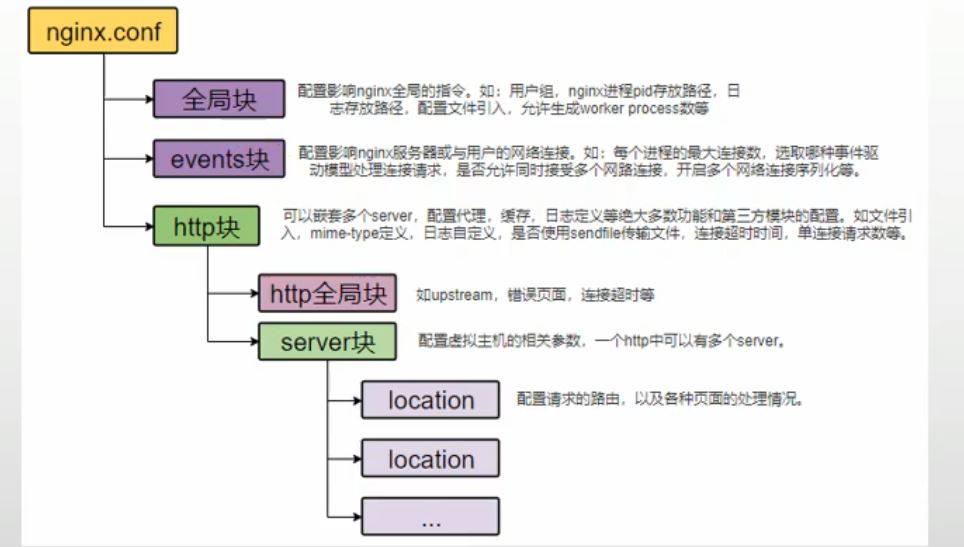 简单介绍nginx反向代理及使用_反向代理