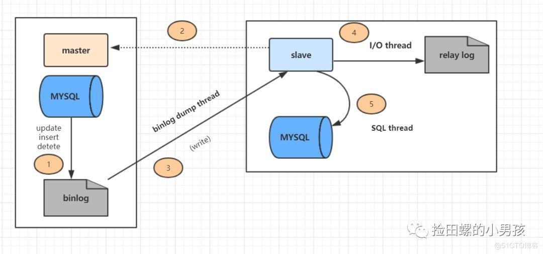 #yyds干货盘点#MySQL的主从如何配置_数据_02