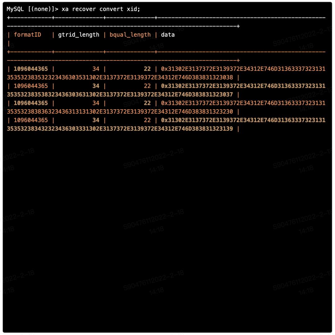 MySQL