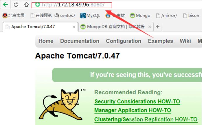 Tomcat的部署安装（论坛）#yyds干货盘点#_mysql_02