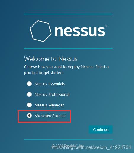 Nessus