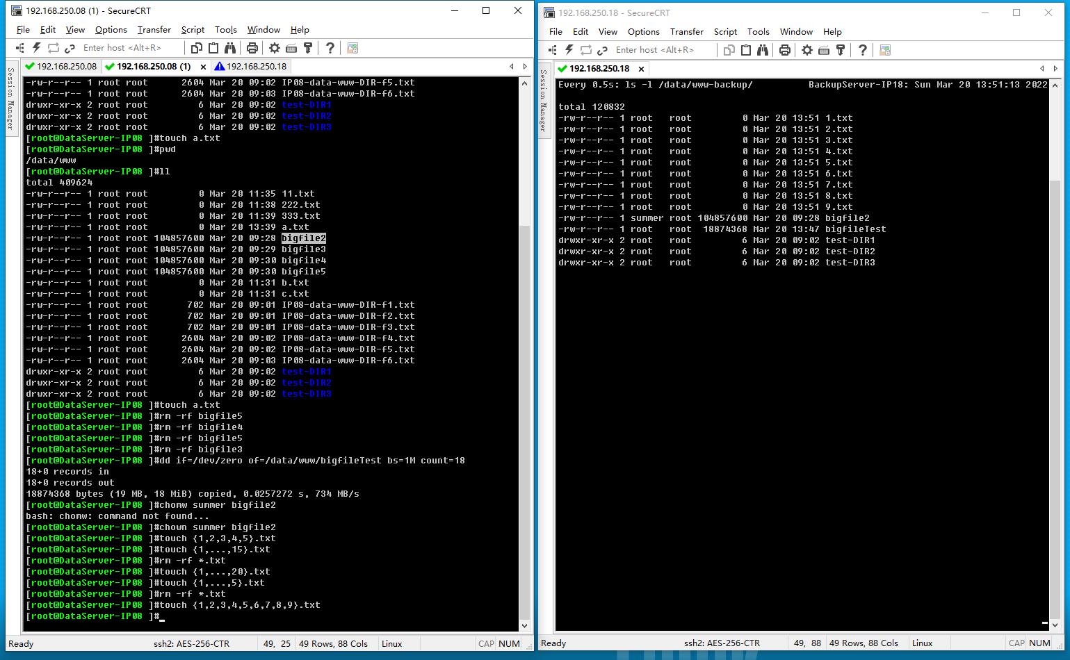 实战案例：用rsync+inotify+shell脚本实现/www目录实时同步_rsync同步数据_03