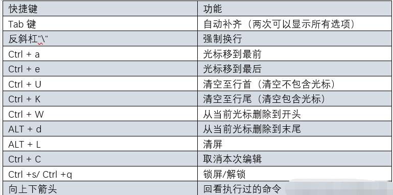 linux基础命令_bash_06