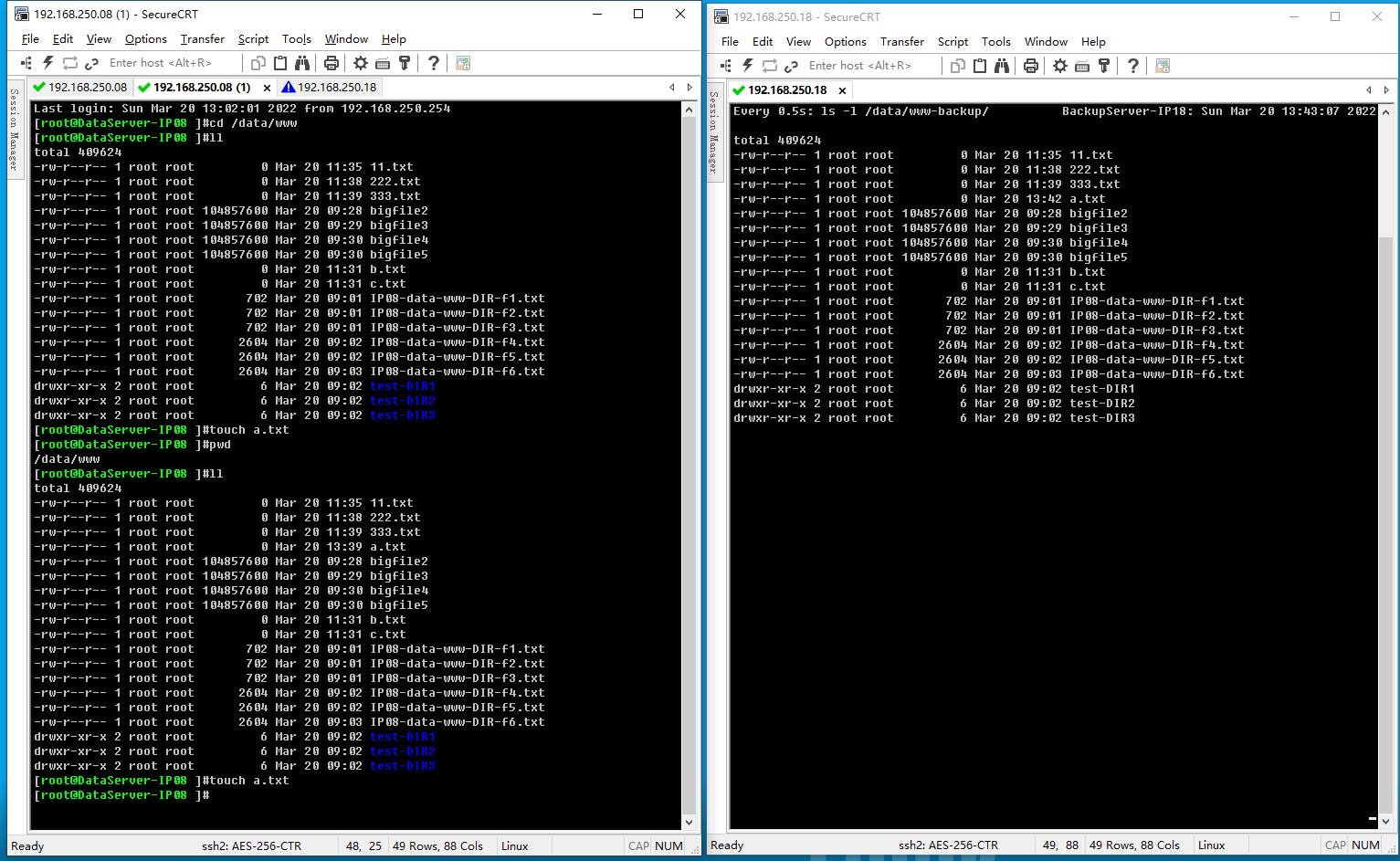 实战案例：用rsync+inotify+shell脚本实现/www目录实时同步_www目录实时同步_02