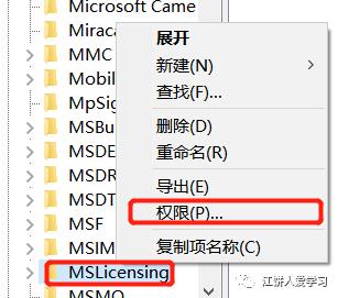 访问被拒绝导致许可证存储的创建失败，请使用提升的权限_microsoft_02