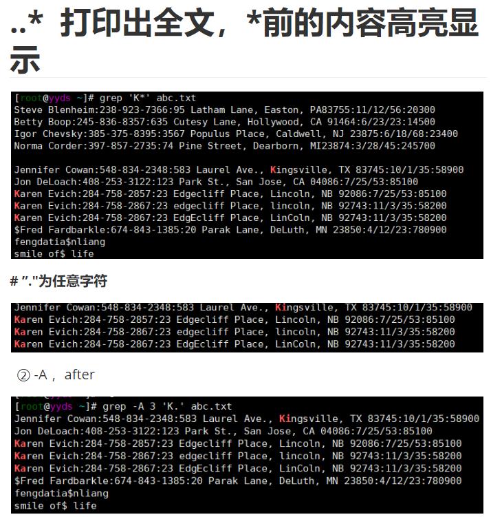 08-文件过滤排序命令grep,sort,which_08文件管理命令（三）_02