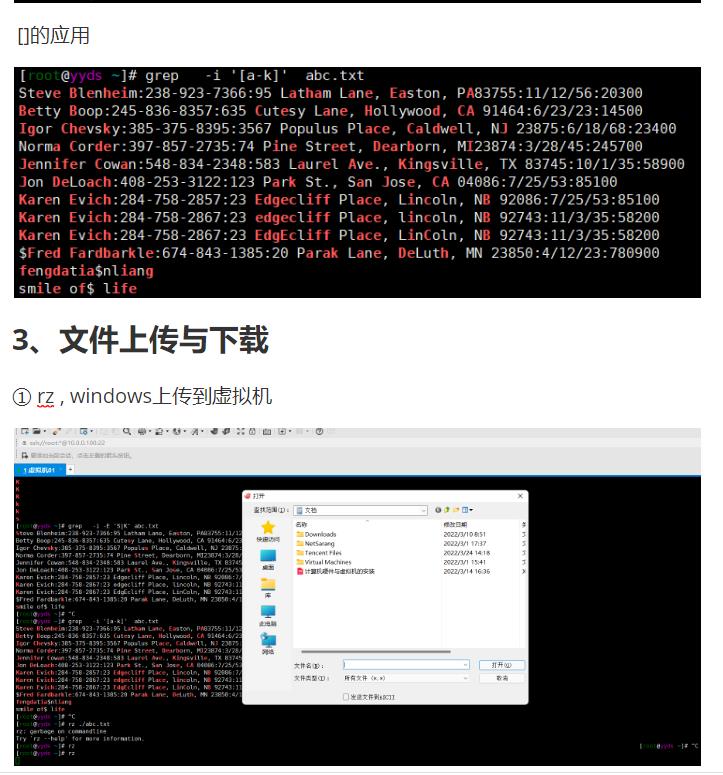 08-文件过滤排序命令grep,sort,which_08文件管理命令（三）_06