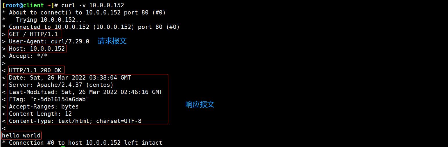 http的报文结构和状态码总结_首部_03