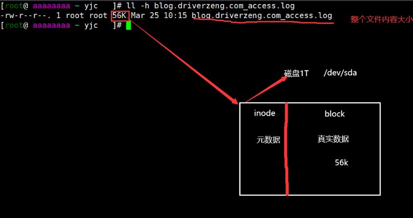 文件属性及类型_源文件