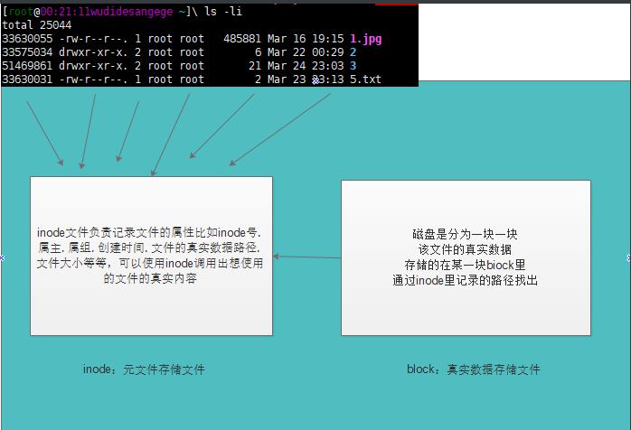 小胖学Linux