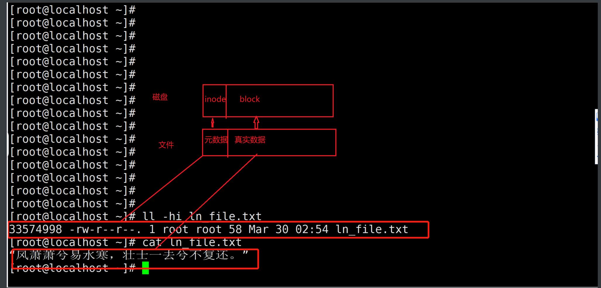 linux文件属性及类型_数据_03