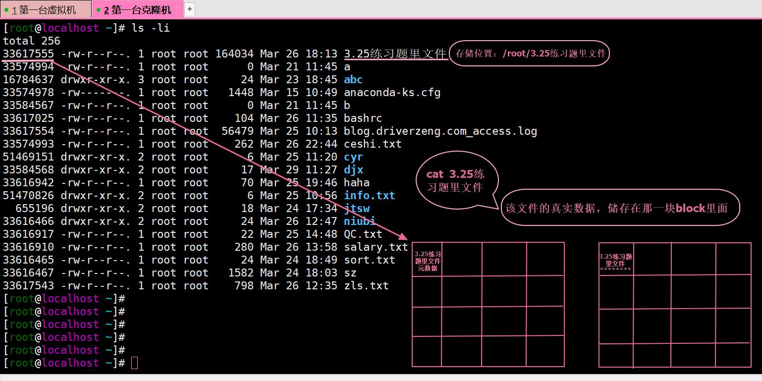 文件的属性及类型_软链接_03