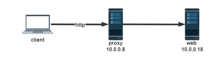 NGINX_nginx