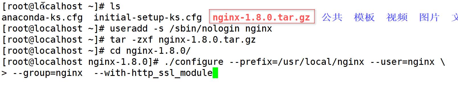 nginx服务器搭建_nginx_02