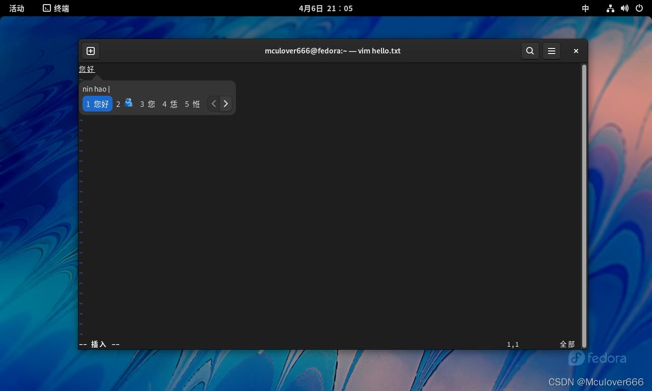 VMware安装Fedora